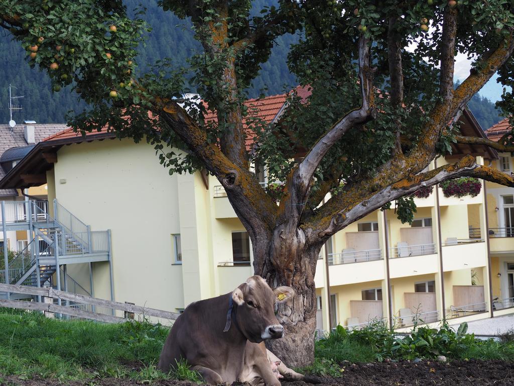 Vila Obermairhof Olang Exteriér fotografie